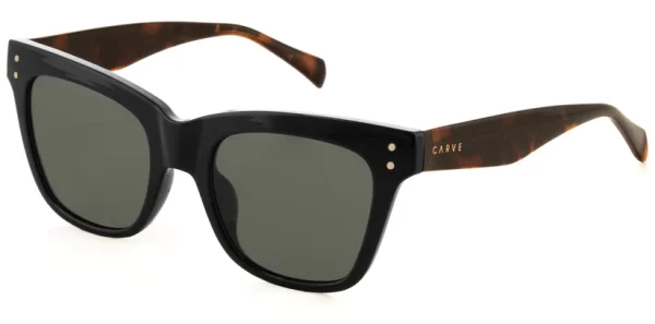 36240-leopold_sunglasses_CARVE