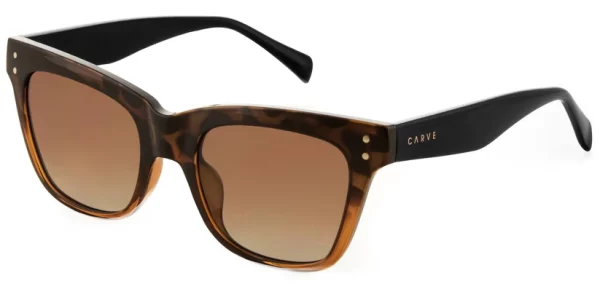 36241-leopold_sunglasses_CARVE