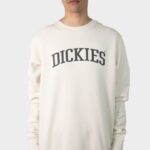 DICKIES COLLEGIATE 66